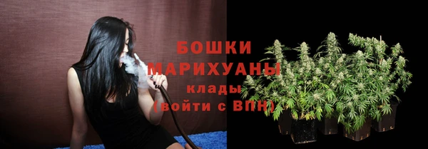 apvp Аркадак