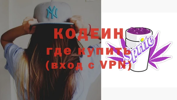 дурь Арсеньев
