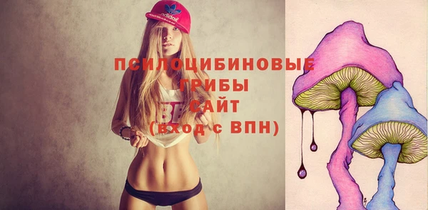 мескалин Алексин